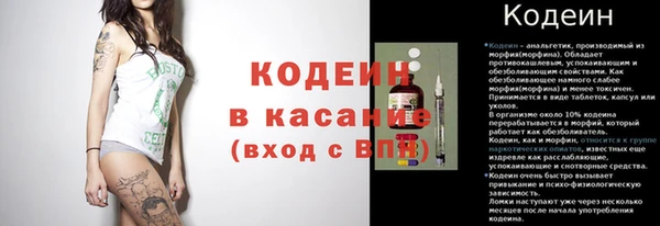 индика Баксан