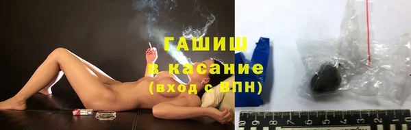 индика Баксан