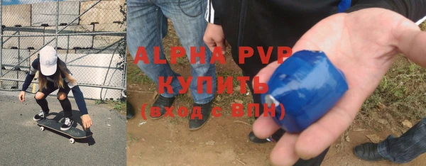 индика Баксан