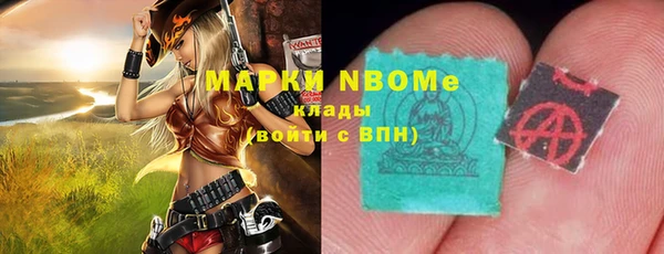 индика Баксан
